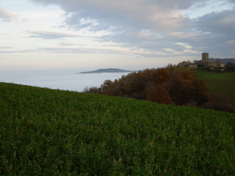 Un mare.........di nebbia